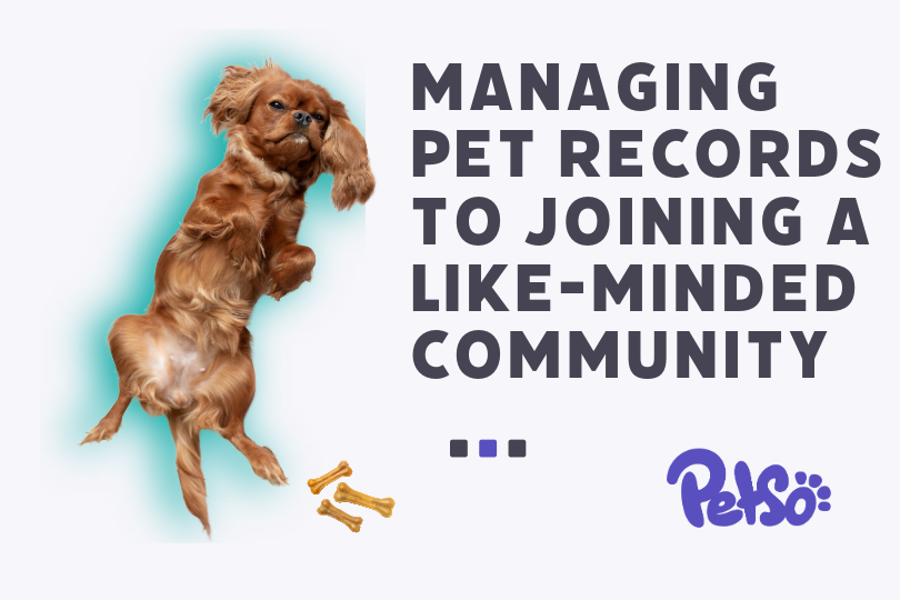 Managing pet records to joining a community