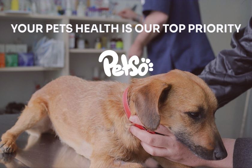 Revolutionize pet parenting
